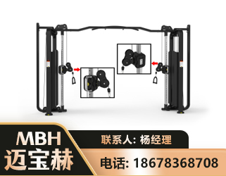 重庆大飞鸟训练器