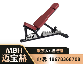 重庆可调哑铃椅